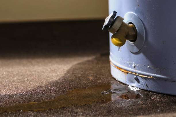 Best Water damage restoration near me  in , TX
