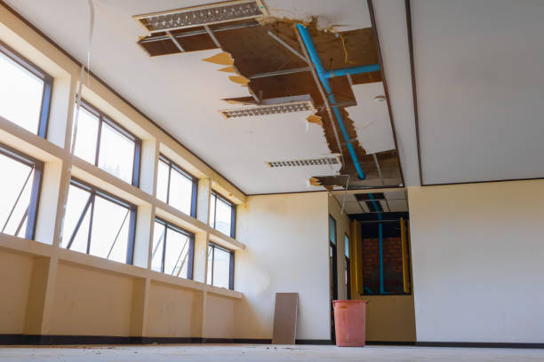 Best Flood damage cleanup  in , TX