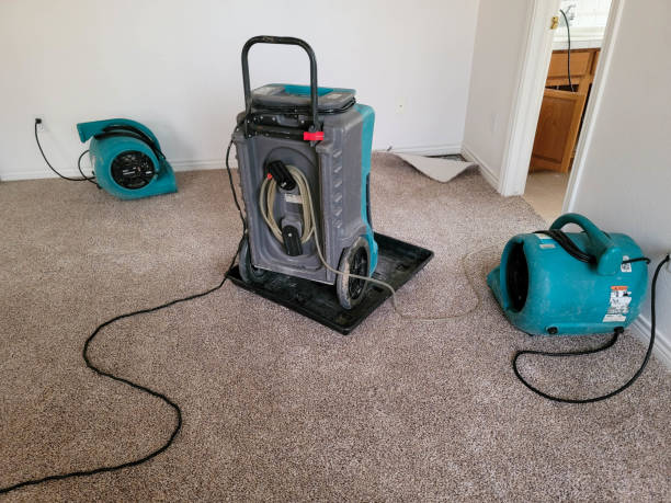 Best Residential water damage restoration  in , TX