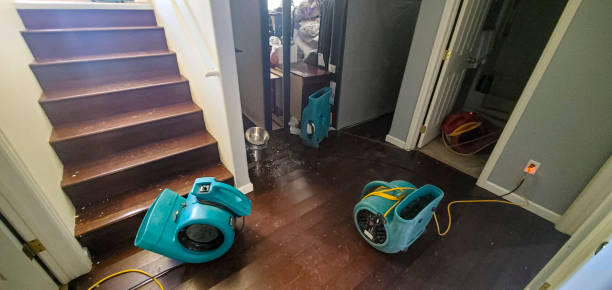 Best Water damage contractors near me  in , TX