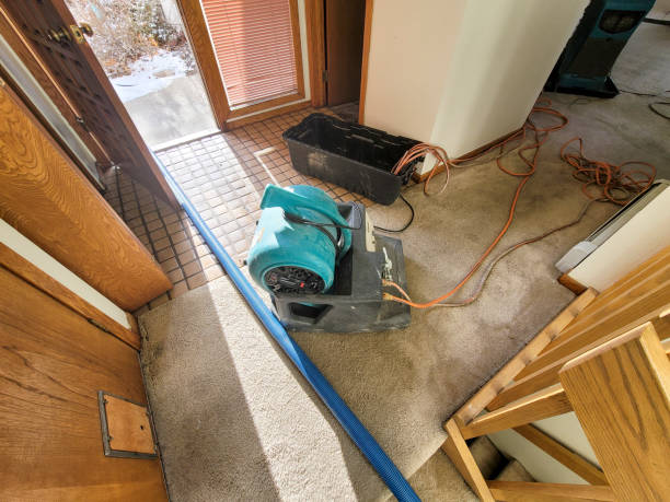 Best Emergency water damage restoration  in , TX