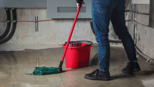 Best Commercial water damage restoration  in , TX