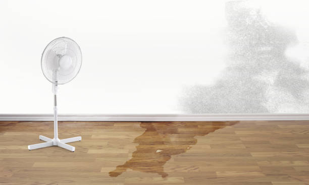 Best Water damage restoration near me  in , TX