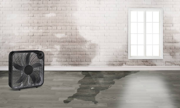 Best Flooded house restoration  in , TX