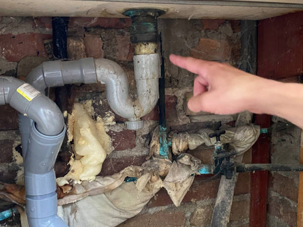 Best Carpet water damage restoration  in , TX