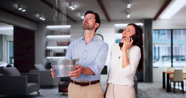 Best 24/7 water damage repair  in , TX